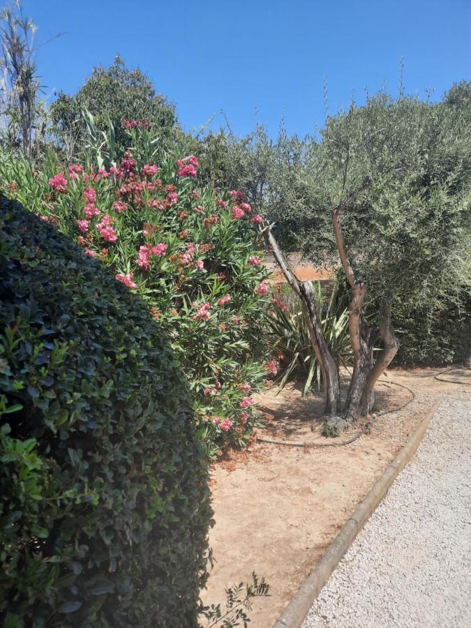 Les Galets De Sanary - Vue Mer Exterior photo